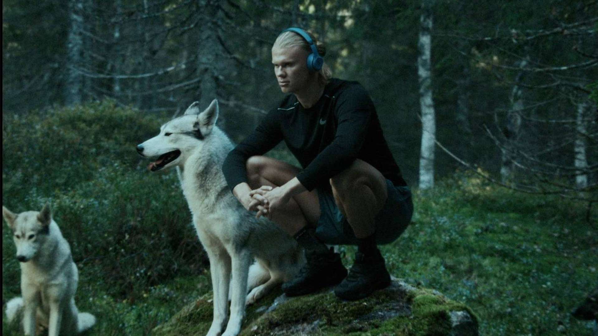 他们的两侧 他们的两侧