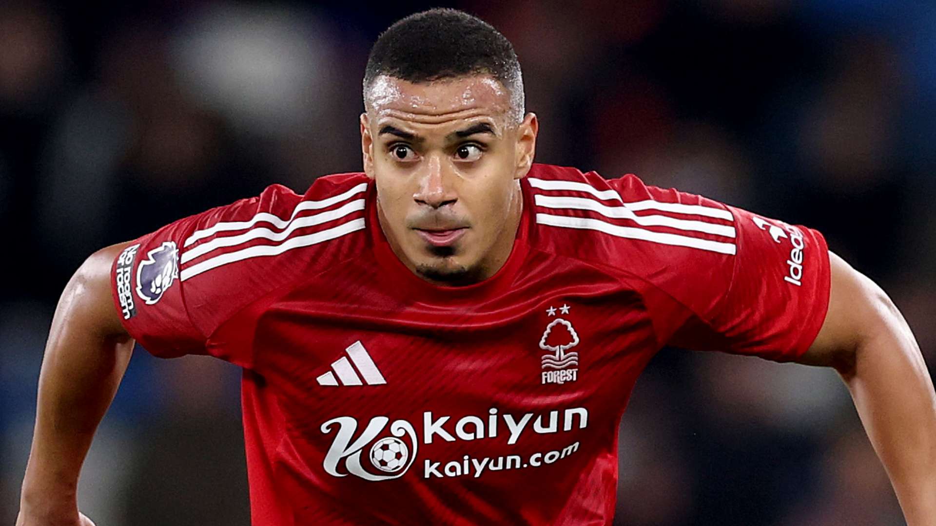 了一系列国 了一系列国